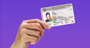 Implementa INE plan emergente para recuperar Credenciales para Votar en zonas afectadas por graves inundaciones