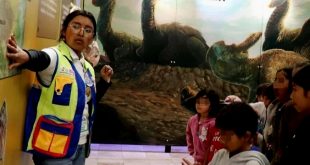 Ofrece Zigzag talleres sobre paleontología, biología, arte y geología