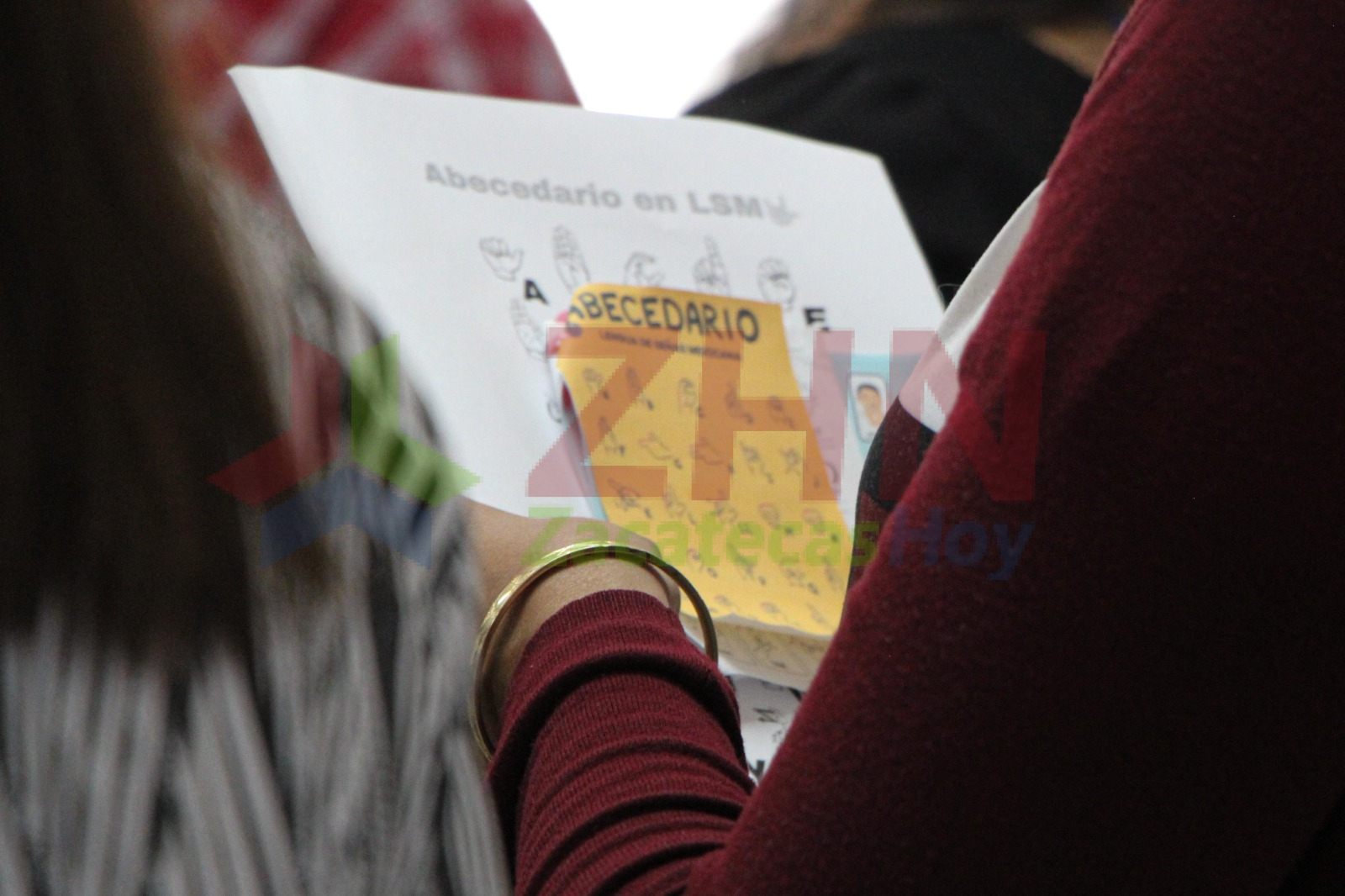 Public servers in Guadalupe receive training in Mexican Sign Language