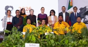 Presidenta Claudia Sheinbaum presenta la Jornada Nacional de Reforestación 2026