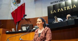 Gabriela Pinedo propone penas de hasta seis años de prisión por engaños digitales que afecten el patrimonio de las familias