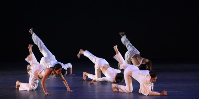 Inicia Temporada de Danza Zacatecas 2026 con las piezas escénicas “Amorfas” e “Id. Resplandor del ser”