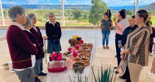 Realiza Cecytez etapas regionales del certamen “Cecyte Chef”