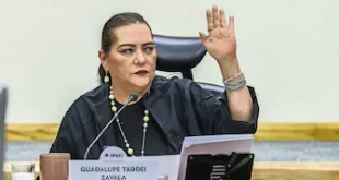 INE difunde renuncia de Taddei; decisión busca proteger al Instituto, afirma